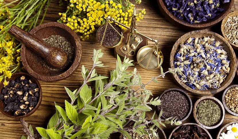Treatment of parasites using folk remedies