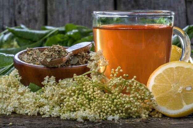 herbal tea for parasite prevention
