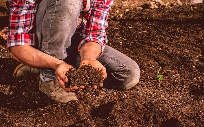 Parasite infection through the soil