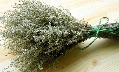 wormwood as a means of combating parasites